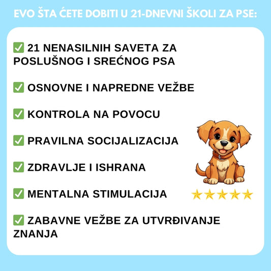 Uživajte u procesu učenja sa svojim psom
