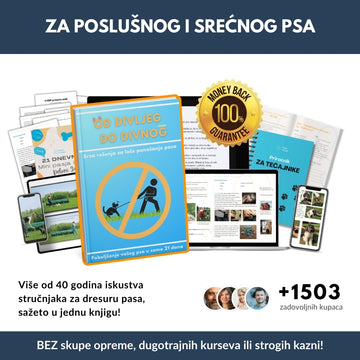 Najprodavaniji priručnik za poboljšanje poslušnosti vašeg psa u samo 21 dana + 6 BESPLATNIH BONUSA